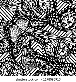 Seamless camouflage floral pattern. Different Exotic butterflies on a geometric background. Textile composition, hand drawn style print. Vector black and white illustration.