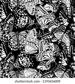 Seamless camouflage pattern. Different Exotic butterflies. Textile composition, hand drawn style print. Vector black and white illustration.