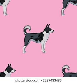 Seamless Canaan dog dog pattern, holiday texture. Pink Packaging, textile, decoration, wrapping paper. Trendy hand-drawn funny breed wallpaper. Fun seamless happy cute sitting dog square pattern. 