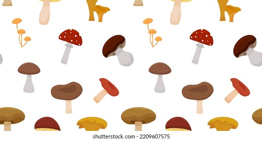 Seamless cartoon mushroom pattern. Poisonous and edible mushrooms. Different wild mushrooms. Vector illustration.