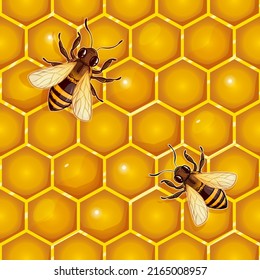 Patrón de caricatura sin inconvenientes del peine de miel y las abejas, fondo vectorial