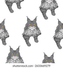 Seamless cat pattern of the Maine Coon breed on a white background. Vector pattern for textiles, paper, wallpaper.