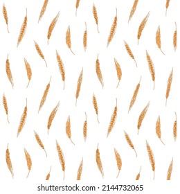 Seamless cereal pattern with grain crop. Endless background with wheat, barley spikelets. Repeating print with golden field plants. Texture design in vintage style. Drawn graphic vector illustration.