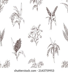 Seamless cereal pattern. Vintage background with engraved grain crops, spikelets print. Repeating texture design with plants drawings in retro style. Hand-drawn vector illustration for wrapping