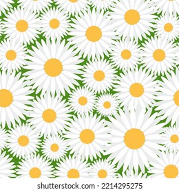 Seamless chamomile flower pattern. Floral background Vector illustration Design for web, wallpaper, wrapping, textile, print, fabric, cover, fashion  