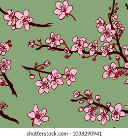 Seamless cherry blossom pattern in vector