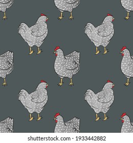 Seamless chicken pattern. Speckled hens vector illustration.