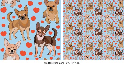 Seamless Chihuahua dog pattern, holiday texture. Packaging, textile, decoration, wrapping paper. Trendy hand-drawn funny breed wallpaper. Fun seamless Chihuahua square pattern with hearts.