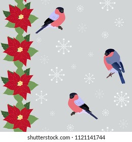 Seamless Christmas pattern with poinsettia flowers, bullfinches and snowflakes on a gray background. For decoration of textiles, packaging and web design. Vector illustration.