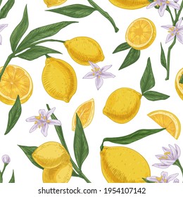 Seamless citric pattern with citrus fruits, flowers and leaves of blooming lemon tree on white repeatable background. Endless texture in retro style. Drawn colored vector illustration for printing