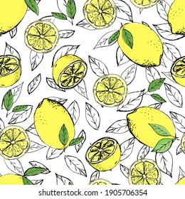 Seamless of citrus fruits sketch. Slice, cut pieces, lobule, plant leaves. Vector illustration Isolated on white background. Hand drawn. 