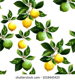 Seamless citrus Pattern. Lemon Fruits Background. Vector illuctration. 