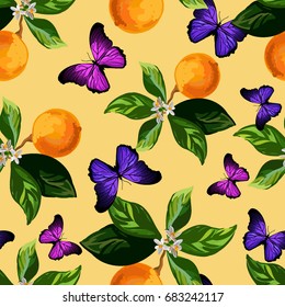 Seamless citrus pattern with oranges and butterfly. Hand drawn vector illustration .Template for print, textile,wallpaper cover and box design.