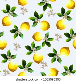 	
Seamless citrus pattern with palm leves.Hand drawn vector illustration with lemons.Template for print, textile,wallpaper cover and box design