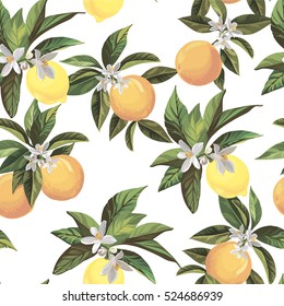 Seamless citrus pattern.Hand drawn vector illustration with lemons and oranges.Template for print, textile,wallpaper cover and box design.
