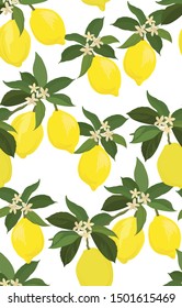 Seamless citrus vector pattern. Exotic background. Hand drawn illustration with lemons. Tropical fruit wallpaper.