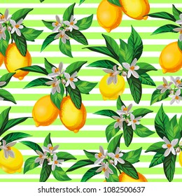 	
Seamless citrus vector pattern on striped background. Hand drawn illustration with lemons.