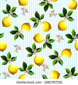 	
Seamless citrus vector pattern on striped background. Hand drawn illustration with lemons.