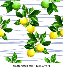 	
Seamless citrus vector pattern on striped background. Hand drawn illustration with lemons.