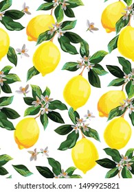 Seamless citrus vector pattern on white background. Hand drawn illustration with lemons. Tropical fruit wallpaper.