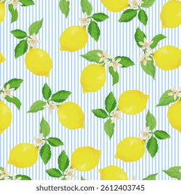 Seamless citrus vector pattern on striped background. Hand drawn illustration with lemons.