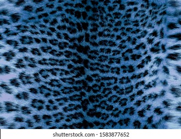 Seamless classic blue realistic leopard fur pattern, animal skin, fabric, textile prints