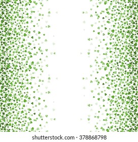 Seamless clover background on white, vector
