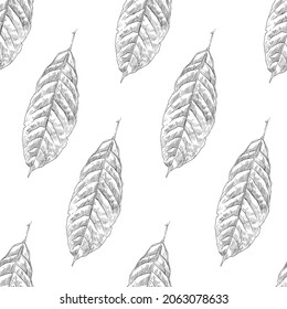 Hojas de cacao sin soldadura con antecedentes de patrón adorno. Diseño de plantillas de fondo de escritorio. Ilustración vectorial dibujada a mano.