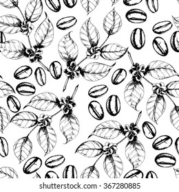 Seamless coffee background with branch of coffee and coffee beans. Hand drawn illustration in sketch style.
