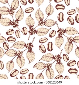 Seamless coffee background with branch of coffee and coffee beans. Hand drawn illustration in sketch style.
