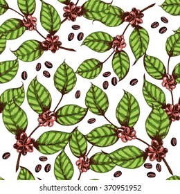 Seamless coffee background with branch of coffee and coffee beans. Hand drawn illustration in sketch style.
