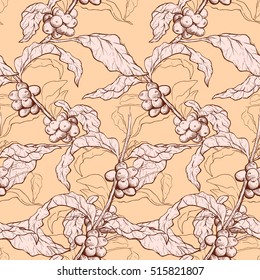 Seamless coffee background with branch of coffee and coffee beans. Hand drawn illustration in sketch style. EPS10 vector illustration