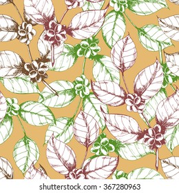 Seamless coffee background with branch of coffee. Hand drawn illustration in sketch style.