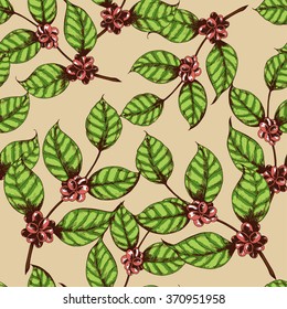 Seamless coffee background with branch of coffee. Hand drawn illustration in sketch style.
