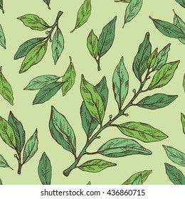 Seamless with color bay leaf. hand drawn