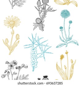 Seamless color decorative pattern with herbs. Vector illustration.
