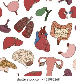 Seamless color human organs pattern, vector anatomy background