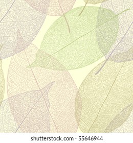 Seamless color leaves pattern