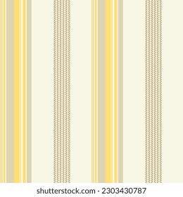 Seamless color pattern Boho shirt striped. Design for fashion textiles and graphics. Vertical stripe background. Modern wallpaper. Vector.