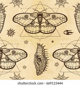 Seamless color pattern: image of a butterfly, larva, sacred geometry. A background - imitation of old paper. Vector illustration.