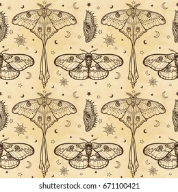 Seamless color pattern: image of a butterfly, larva. A background - imitation of old paper. Vector illustration.