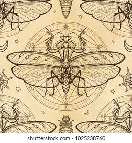 Seamless color pattern: mantis, larva, alchemical circle of transformations. Background - imitation of old paper, the book, parchment. Esoteric, mysticism, occultism. Vector illustration.