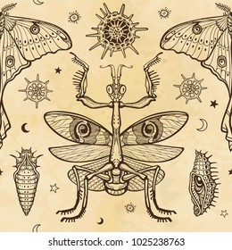 Seamless color pattern: mantis, tropical butterfly having a tail, larvae.  Background - imitation of old paper, the book, parchment. Esoteric, mysticism, occultism. Vector illustration.