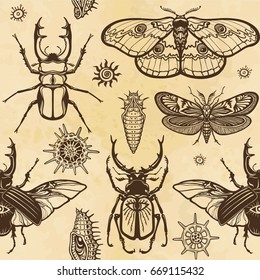 Seamless color pattern: set of insects, butterflies, bugs, larvae.  A background - imitation of old paper. Vector illustration.