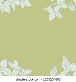 Seamless color textile pattern. Plant in blossom, branch with flower ink sketch. Vector illustration for your design
