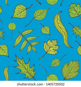 Seamless colored forest leaves pattern. . Green leaves pattern on white background. Vector drawing forest foliage.Summer Textil pattern. green Forest leaves pattern 