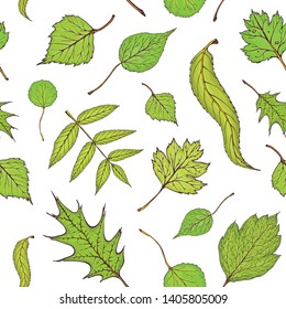 Seamless colored forest leaves pattern. . Green leaves pattern on white background. Vector drawing forest foliage.Summer Textil pattern. green Forest leaves pattern 