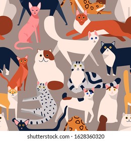 Seamless colored pattern with different cat breeds flat illustration. Creative decorative background with various pet vector isolated on gray. Funny cute domestic animal