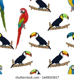 Seamless colored pattern of parrots and toucans birds. Separate black-yellow, red and blue birds on a white background. Pattern for different surfaces.