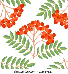 Seamless colorful autumn pattern with rowan berries and green leaves on a white background. Floral rowan illustration for print.